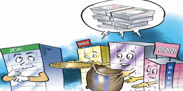 बर्तमान सहकारी, दिर्घकालिन व्यावसाय